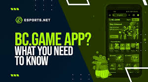 Everything You Need to Know About the App BC.Game USA