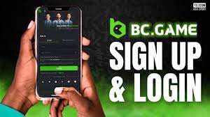 Unleashing the Fun of Online Gambling A Complete Guide to BC Game Bet